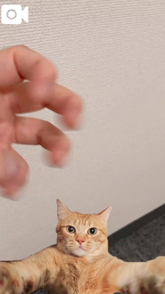 もう一生〇〇でいい｜写メ日記｜小野｜鶯谷 人妻デリヘル 熟女の風俗最終章鶯谷店