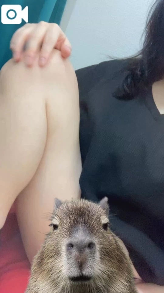 こっちが知りたいですけどね｜写メ日記｜小野｜鶯谷 人妻デリヘル 熟女の風俗最終章鶯谷店