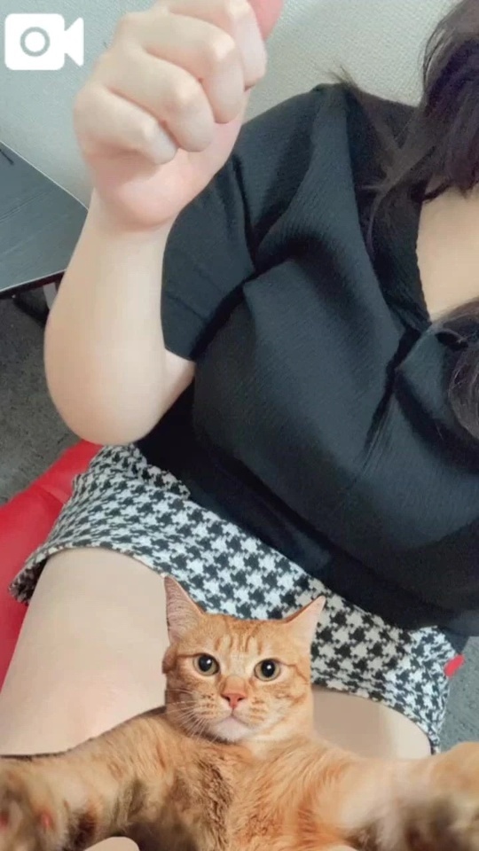 セーフということに、します｜写メ日記｜小野｜鶯谷 人妻デリヘル 熟女の風俗最終章鶯谷店