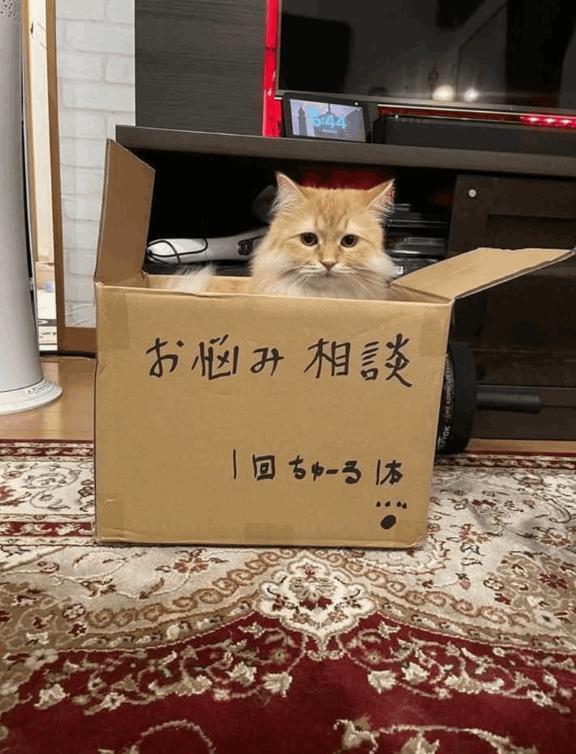聞くよ～｜写メ日記｜鶴田｜鶯谷 人妻デリヘル 熟女の風俗最終章鶯谷店