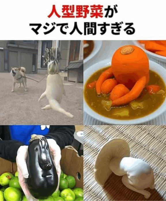 野菜凄い👏｜写メ日記｜鶴田｜鶯谷 人妻デリヘル 熟女の風俗最終章鶯谷店