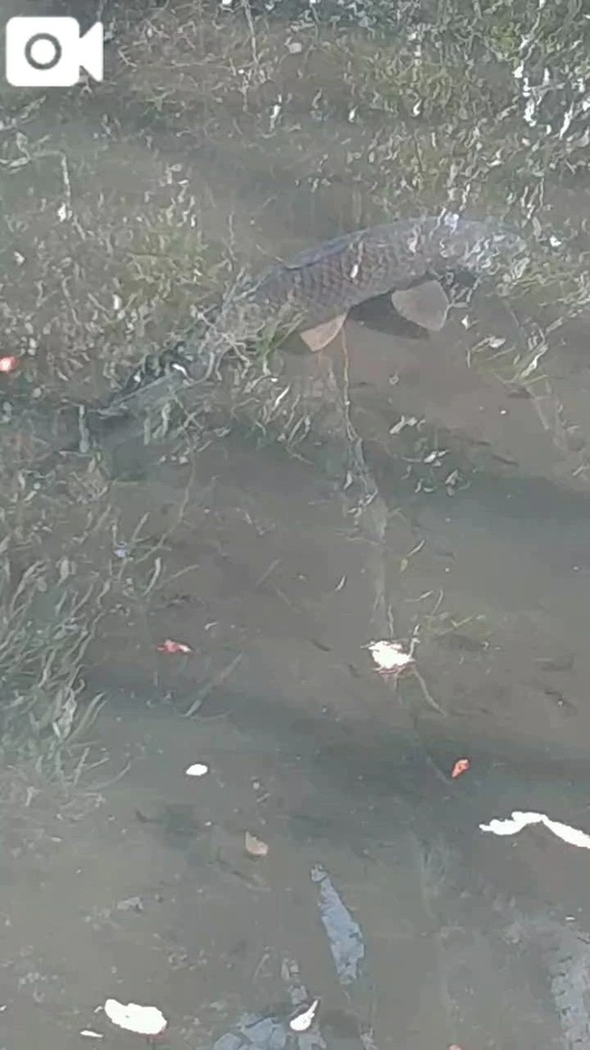 ウォーキング🚶‍♀️｜写メ日記｜鶴田｜鶯谷 人妻デリヘル 熟女の風俗最終章鶯谷店