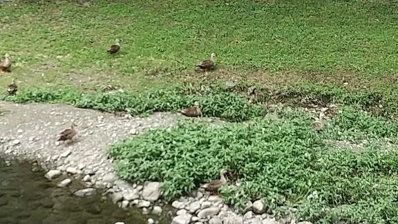 久々のウォーキング🚶‍♀️｜写メ日記｜鶴田｜鶯谷 人妻デリヘル 熟女の風俗最終章鶯谷店