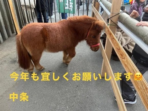 🐎謹賀新年🐎｜写メ日記｜中条｜鶯谷 人妻デリヘル 熟女の風俗最終章鶯谷店