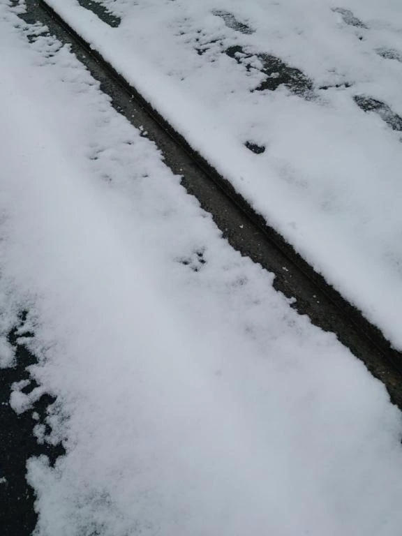 銀世界｜写メ日記｜夜宵(やよい)｜鶯谷 人妻デリヘル 熟女の風俗最終章鶯谷店