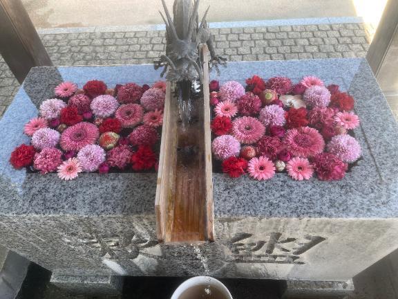 向かってます｜写メ日記｜阿久津｜鶯谷 人妻デリヘル 熟女の風俗最終章鶯谷店