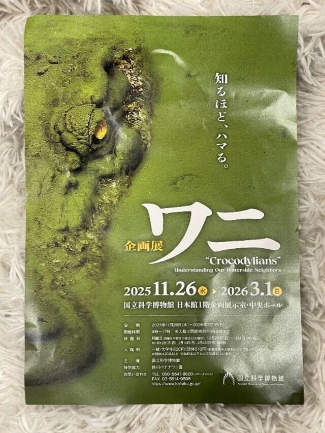 あと1日｜写メ日記｜阿久津｜鶯谷 人妻デリヘル 熟女の風俗最終章鶯谷店