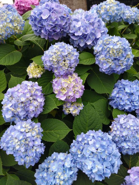 お礼♪｜写メ日記｜遠山｜鶯谷 人妻デリヘル 熟女の風俗最終章鶯谷店