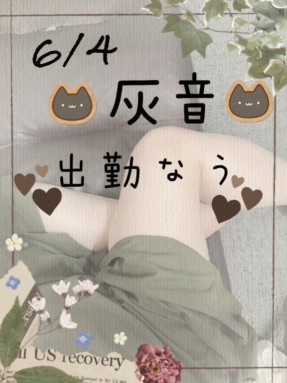 こんばんはー🙌｜写メ日記｜灰音（はいね）｜鶯谷 人妻デリヘル 熟女の風俗最終章鶯谷店
