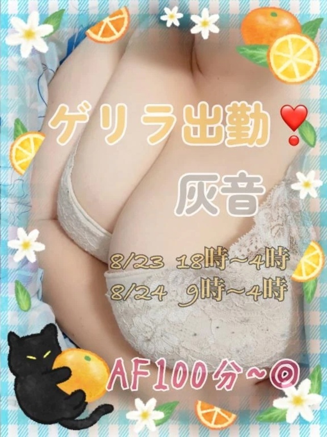 ゲリラ出勤します❣️｜写メ日記｜灰音（はいね）｜鶯谷 人妻デリヘル 熟女の風俗最終章鶯谷店