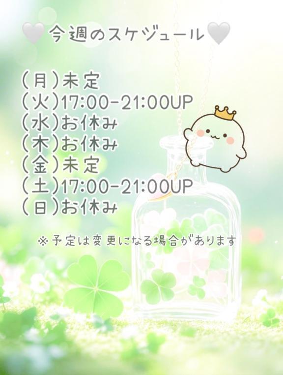 🤍今週のスケジュール🤍｜写メ日記｜伊瀬｜鶯谷 人妻デリヘル 熟女の風俗最終章鶯谷店