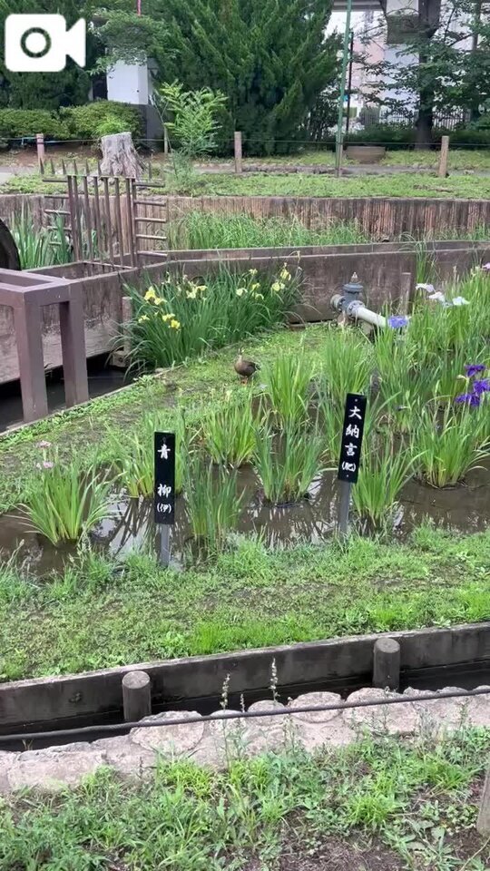 お金拾ったので近所の子にあげました｜写メ日記｜香川｜鶯谷 人妻デリヘル 熟女の風俗最終章鶯谷店