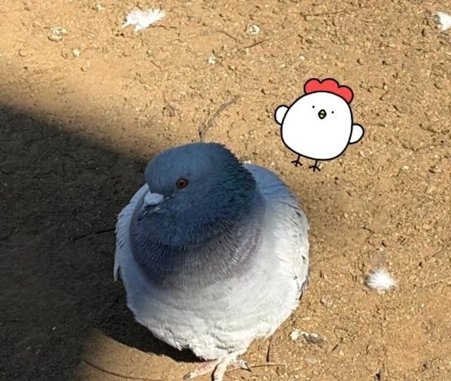 向かっています〜🐾｜写メ日記｜蜜音（みつね）｜鶯谷 人妻デリヘル 熟女の風俗最終章鶯谷店