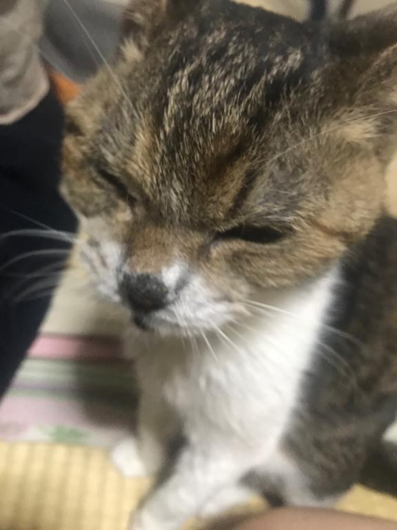 今日は♡｜写メ日記｜原｜鶯谷 人妻デリヘル 熟女の風俗最終章鶯谷店