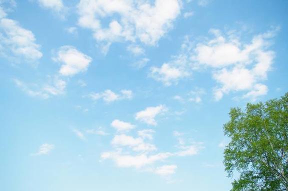 出勤について🥺｜写メ日記｜緑谷（みどりや）｜鶯谷 人妻デリヘル 熟女の風俗最終章鶯谷店
