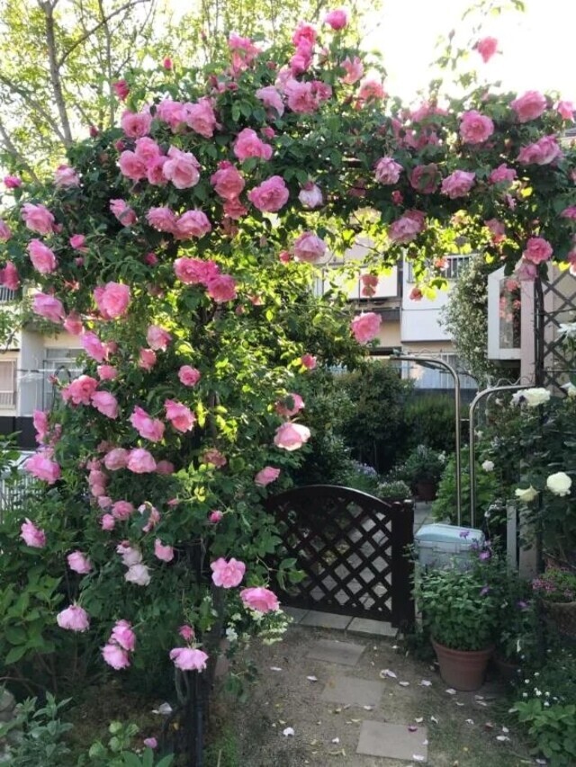 二番館のS様ありがとうございます。｜写メ日記｜目黒｜鶯谷 人妻デリヘル 熟女の風俗最終章鶯谷店