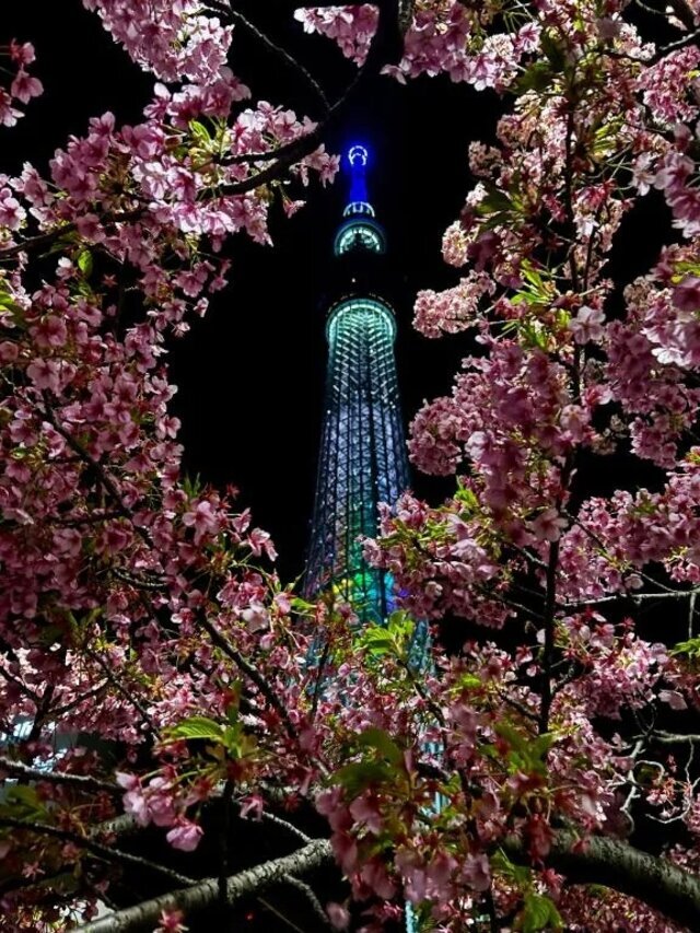 電車が遅れてて…｜写メ日記｜桜井｜鶯谷 人妻デリヘル 熟女の風俗最終章鶯谷店