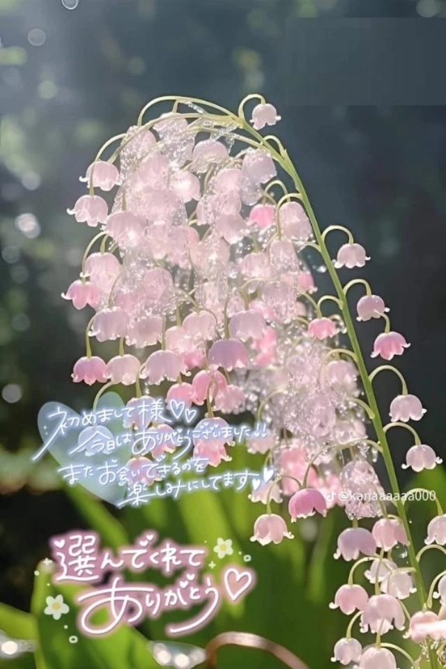 昨夜のお礼｜写メ日記｜桜井｜鶯谷 人妻デリヘル 熟女の風俗最終章鶯谷店