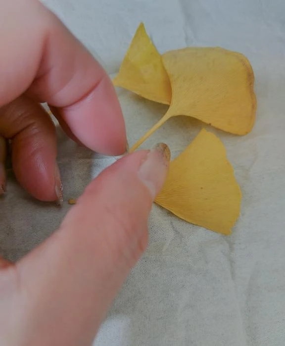 ⌚❓｜写メ日記｜大和｜鶯谷 人妻デリヘル 熟女の風俗最終章鶯谷店