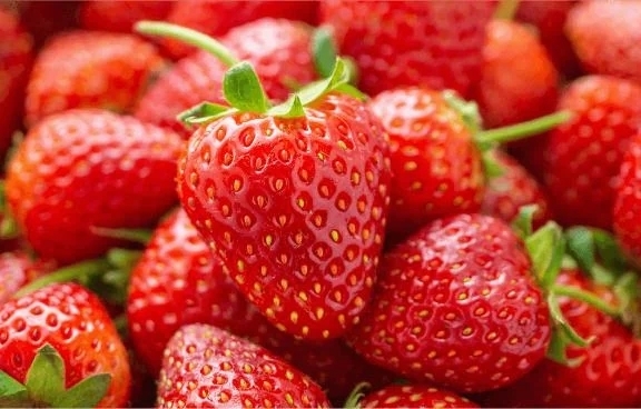 ヤマダ様｜写メ日記｜瀬川｜鶯谷 人妻デリヘル 熟女の風俗最終章鶯谷店