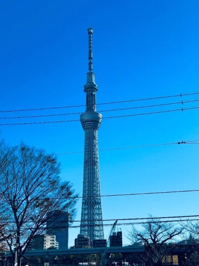 明日ね♥️｜写メ日記｜矢吹｜鶯谷 人妻デリヘル 熟女の風俗最終章鶯谷店