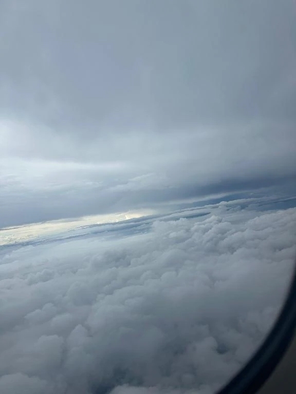 取り扱い説明書📕