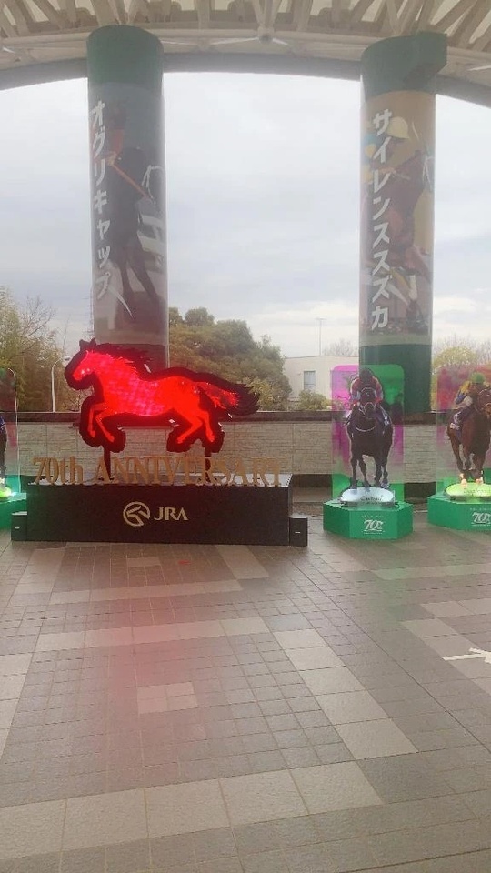 菊花賞🐴｜写メ日記｜美神｜鶯谷 人妻デリヘル 熟女の風俗最終章鶯谷店
