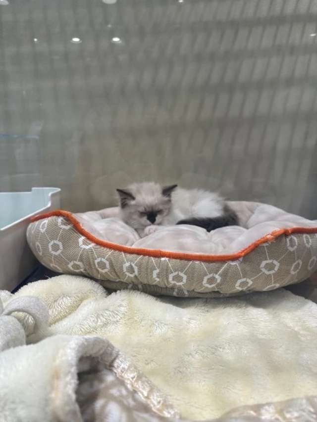 お礼📩｜写メ日記｜美神｜鶯谷 人妻デリヘル 熟女の風俗最終章鶯谷店