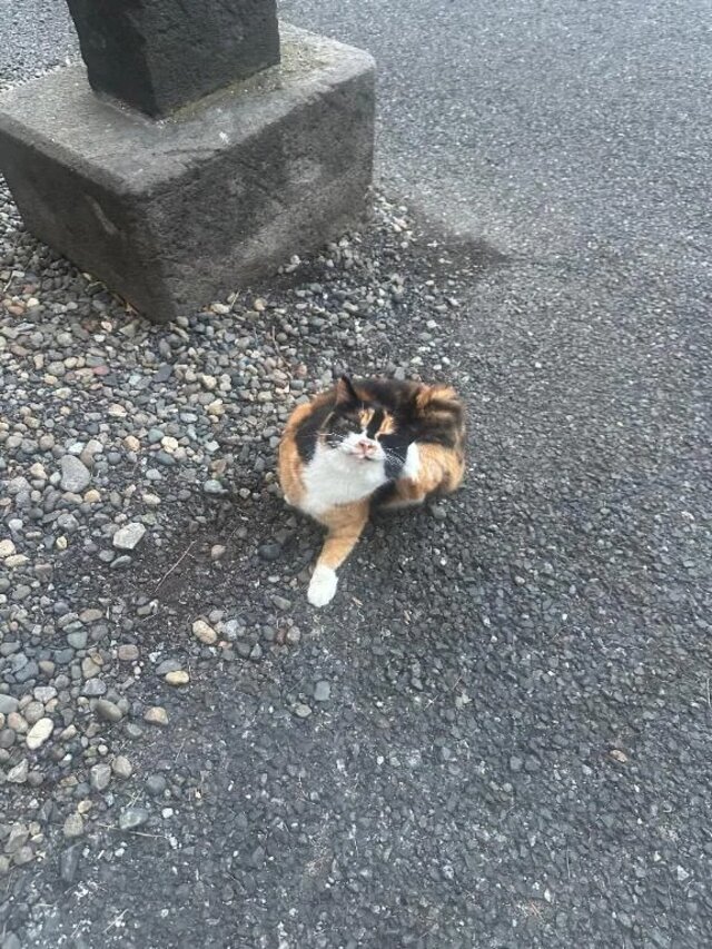 今夜🏙️｜写メ日記｜美神｜鶯谷 人妻デリヘル 熟女の風俗最終章鶯谷店
