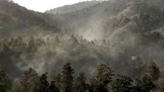 発狂｜写メ日記｜雪城｜鶯谷 人妻デリヘル 熟女の風俗最終章鶯谷店