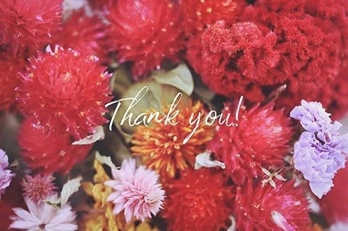 💝昨日のお礼💌💝｜写メ日記｜成田｜鶯谷 人妻デリヘル 熟女の風俗最終章鶯谷店