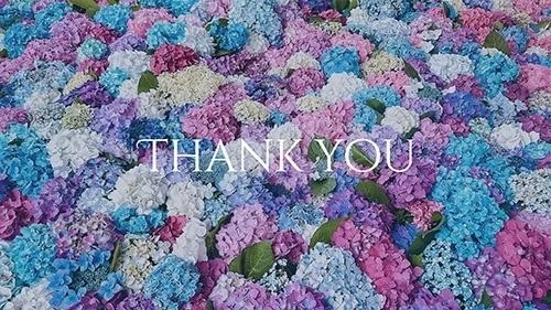 💝昨日のお礼💌💝｜写メ日記｜成田｜鶯谷 人妻デリヘル 熟女の風俗最終章鶯谷店