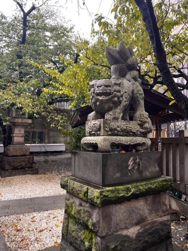 おはようございます〜