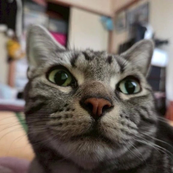 おはようございます😊｜写メ日記｜高井｜鶯谷 人妻デリヘル 熟女の風俗最終章鶯谷店