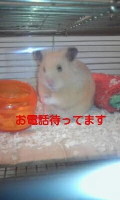 出勤してます❤️｜写メ日記｜畑（はた）｜鶯谷 人妻デリヘル 熟女の風俗最終章鶯谷店