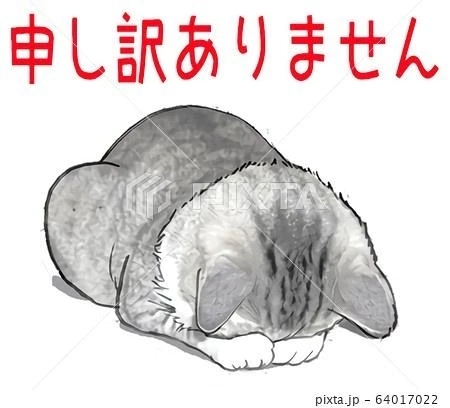 ごめんなさい｜写メ日記｜香住｜鶯谷 人妻デリヘル 熟女の風俗最終章鶯谷店