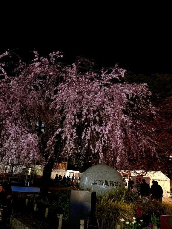 7時間貸切デート｜写メ日記｜五奏さわ｜六本木・麻布・赤坂 高級デリヘル MIRAI TOKYO 六本木店