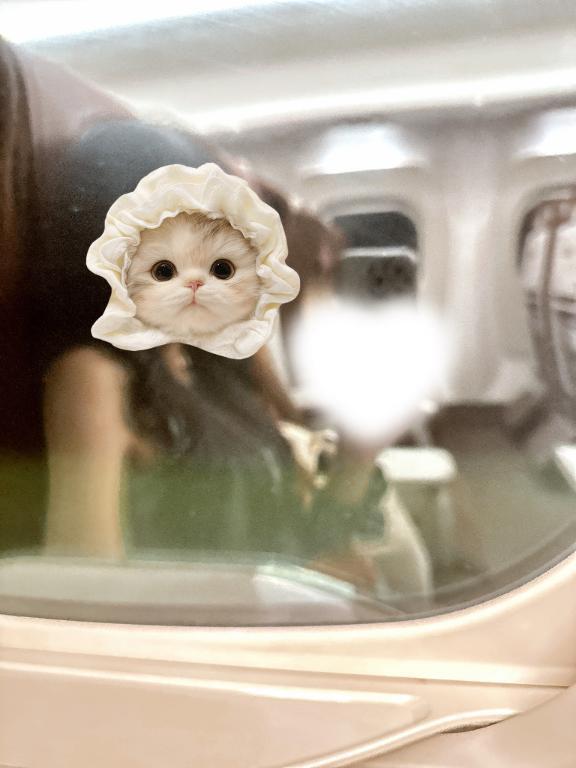 3月｜写メ日記｜須藤えみり｜六本木・麻布・赤坂 高級デリヘル MIRAI TOKYO 六本木店