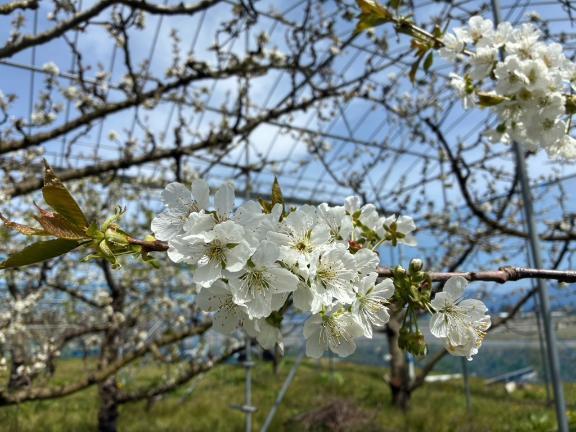 今日のひとこま