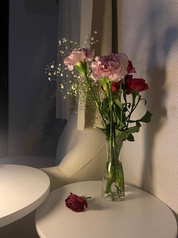 昨日のお礼｜写メ日記｜杉本あいの｜六本木・麻布・赤坂 高級デリヘル MIRAI TOKYO 六本木店