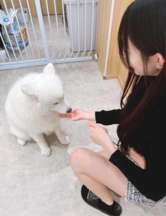 隠れ㊙️㊙️㊙️