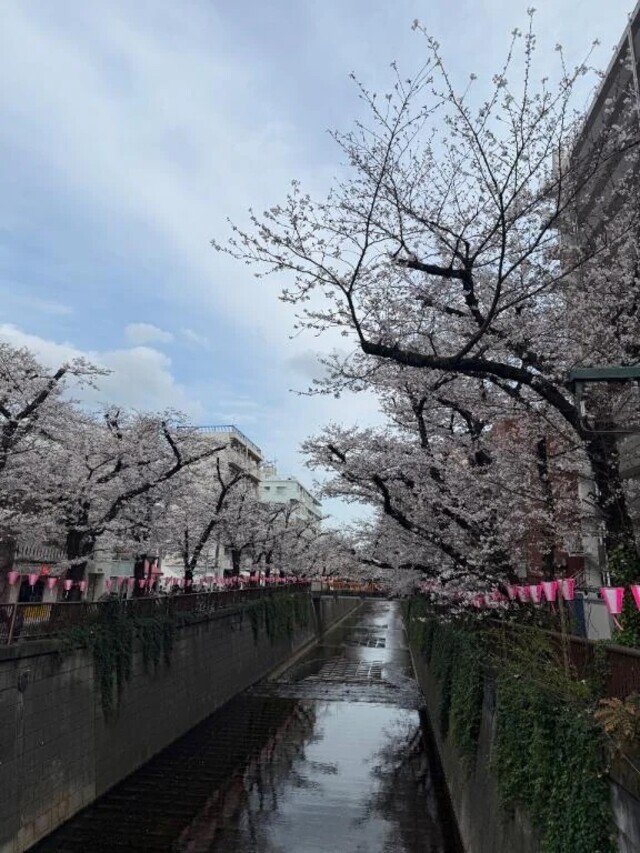 えみのひとりごと｜写メ日記｜澤田えみ｜六本木・麻布・赤坂 高級デリヘル MIRAI TOKYO 六本木店