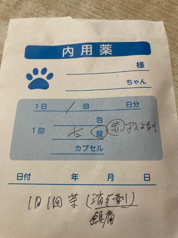 申し訳ありません｜写メ日記｜かずさ｜新宿 人妻デリヘル 熟女の風俗最終章 新宿店