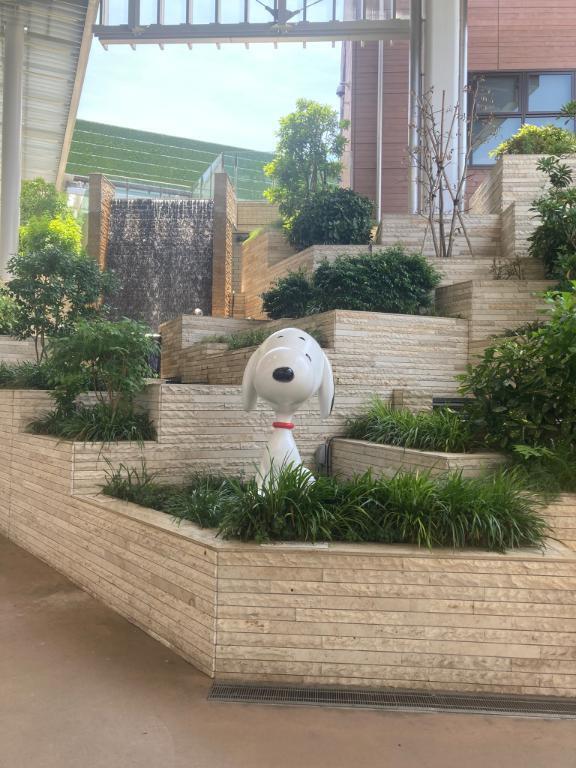 体調崩してしまいました｜写メ日記｜かずさ｜新宿 人妻デリヘル 熟女の風俗最終章 新宿店