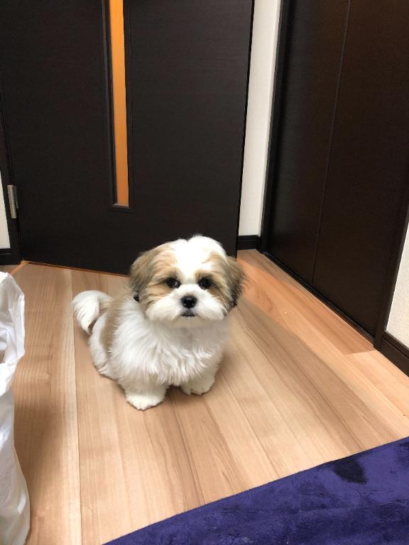 スタートありがとう☺️｜写メ日記｜さなえ｜新宿 人妻デリヘル 熟女の風俗最終章 新宿店