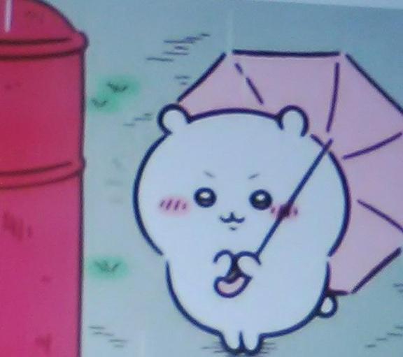 雨ですね☔