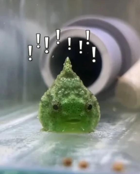 出勤しました