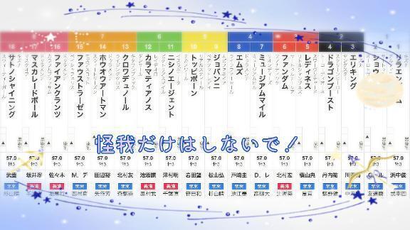 8枠17番🏇