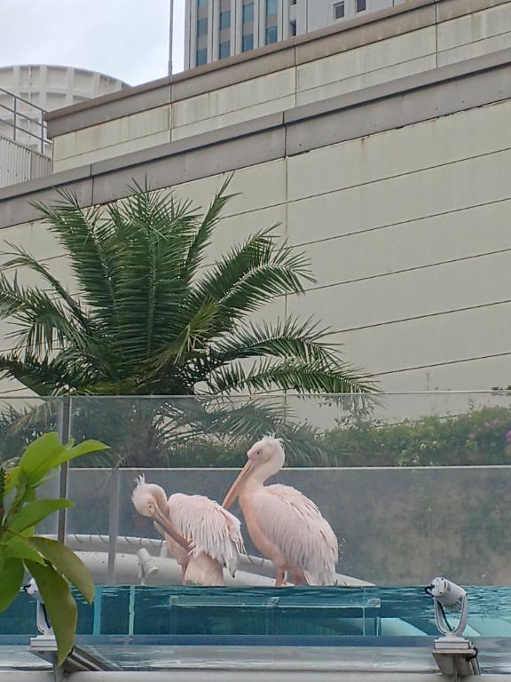 29日、30日のご予約ありがとうございます😃｜写メ日記｜りょうこ｜新宿 人妻デリヘル 熟女の風俗最終章 新宿店