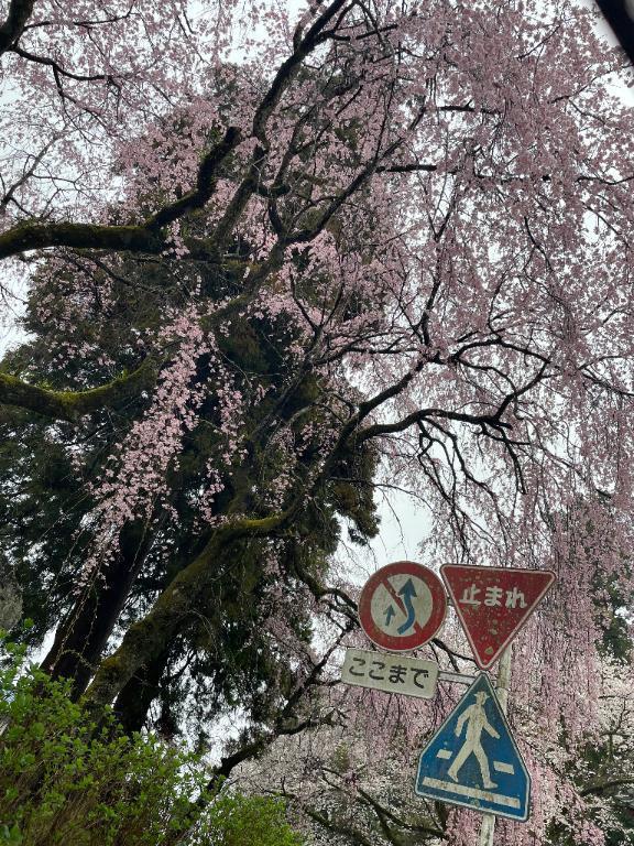 ごめんなさい💦｜写メ日記｜ゆず｜新宿 人妻デリヘル 熟女の風俗最終章 新宿店